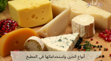 أنواع الجبن..للسلطات والبيتزا والمقبلات تعرف علي استخداماتها في المطبخ