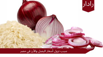 إلحق إشتري بسرعة….أنخفاض أسعار البصل والأرز و السلع الأخرى في الأسواق المصرية