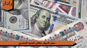 سعر الدولار مقابل الجنيه المصري…. في تعاملات اليوم 29 أبريل 2024