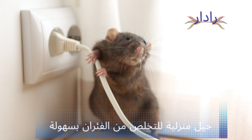 حيل منزلية.. للتخلص من الفئران.. اليكي أهم الطرق والوسائل التي تستخدام للقضاء على الفئران ومنع دخولها إلى المنزل