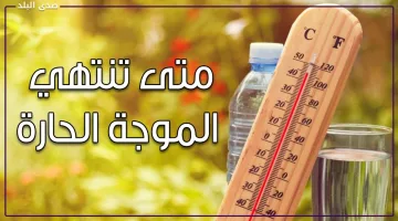 انتبه .. شبورة كثيفة صباحًا على الطرق السريعة والزراعية اليوم الجمعة