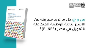 تعرف على أهم التفاصيل حول الاستراتيجية الوطنية المتكاملة للتمويل في مصر (E-INFS) بأسئلة وأجوبة.