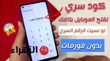 طريقة مبتكرة لفتح هاتفك عند نسيان كلمة المرور دون فقدان البيانات أو إعادة ضبط المصنع