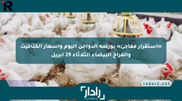 «استقرار مفاجئ» بورصة الدواجن اليوم وأسعار الكتاكيت والفراخ البيضاء الثلاثاء 29 أبريل