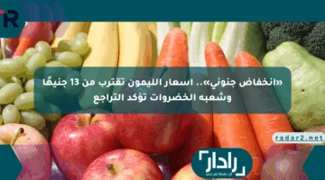 «انخفاض جنوني».. أسعار الليمون تقترب من 13 جنيهًا وشعبة الخضروات تؤكد التراجع
