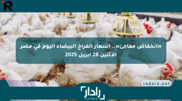 «انخفاض مفاجئ».. أسعار الفراخ البيضاء اليوم في مصر الإثنين 28 أبريل 2025
