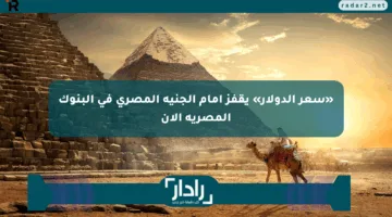 «سعر الدولار» يقفز أمام الجنيه المصري في البنوك المصرية الآن
