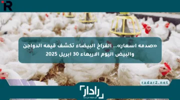 «صدمة أسعار».. الفراخ البيضاء تكشف قيمة الدواجن والبيض اليوم الأربعاء 30 أبريل 2025