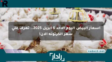 أسعار البيض اليوم الأحد 6 أبريل 2025.. تعرف على سعر الكرتونة الآن!