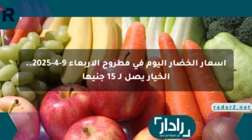 أسعار الخضار اليوم في مطروح الأربعاء 9-4-2025.. الخيار يصل لـ 15 جنيها