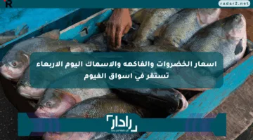 أسعار الخضروات والفاكهة والأسماك اليوم الأربعاء تستقر في أسواق الفيوم