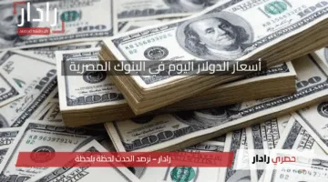 سعر الدولار اليوم مقابل الجنيه المصري في التعاملات اليومية لحظه بلحظه طبقاً للبنوك المصرية