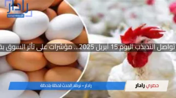 أسعار الفراخ والبيض تواصل التذبذب اليوم 15 أبريل 2025… مؤشرات على تأثر السوق بقرارات الوقود الأخيرة