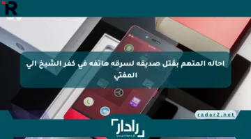 إحالة المتهم بقتل صديقه لسرقة هاتفه في كفر الشيخ إلى المفتي