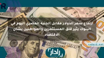 ارتفاع سعر الدولار مقابل الجنيه المصري اليوم في البنوك يثير قلق المستثمرين والمواطنين بشأن الاقتصاد