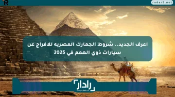 اعرف الجديد.. شروط الجمارك المصرية للإفراج عن سيارات ذوي الهمم في 2025