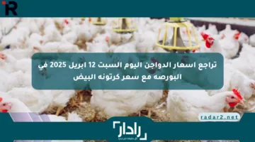 تراجع أسعار الدواجن اليوم السبت 12 أبريل 2025 في البورصة مع سعر كرتونة البيض