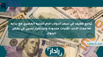 تراجع طفيف في سعر الدولار أمام الجنيه المصري مع بداية تعاملات الأحد: تقلبات محدودة واستقرار نسبي في بعض البنوك