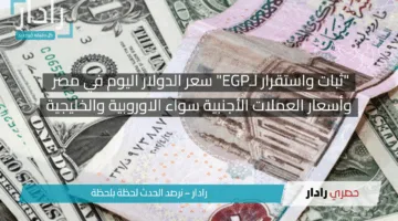 “ثبات واستقرار لـEGP” سعر الدولار اليوم في مصر وأسعار العملات الأجنبية سواء الاوروبية والخليجية
