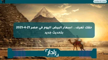 حقك تعرف.. أسعار البيض اليوم في مصر 21-4-2025 بتحديث جديد