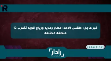 خبر عاجل: طقس الأحد أمطار رعدية ورياح قوية تضرب 12 منطقة مختلفة