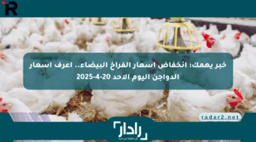 خبر يهمك: انخفاض أسعار الفراخ البيضاء.. اعرف أسعار الدواجن اليوم الأحد 20-4-2025