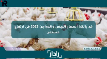 خد بالك! أسعار البيض والدواجن 2025 في ارتفاع مستمر