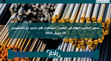 سعر الحديد اليوم في مصر.. استقرار طن حديد عز الخميس 24 أبريل 2025