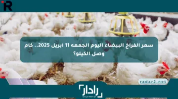 سعر الفراخ البيضاء اليوم الجمعة 11 إبريل 2025.. كام وصل الكيلو؟