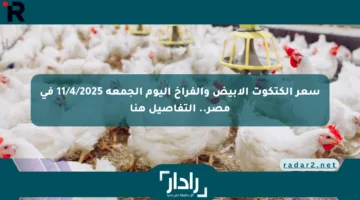 سعر الكتكوت الأبيض والفراخ اليوم الجمعة 11/4/2025 في مصر.. التفاصيل هنا