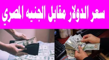 استقرار سعر الدولار اليوم الإثنين 21 أبريل 2025 أمام الجنية المصري داخل البنوك