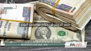 “الأخضر يتراجع أمام الجنيه”.. سعر الدولار في ختام تعاملات اليوم الأحد 27 إبريل 2025