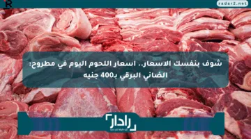 شوف بنفسك الأسعار.. أسعار اللحوم اليوم في مطروح: الضاني البرقي بـ400 جنيه