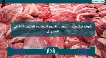 شوف بنفسك.. أسعار اللحوم النهارده الإثنين 14-4 في الأسواق