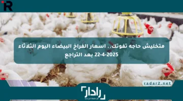 متخليش حاجة تفوتك.. أسعار الفراخ البيضاء اليوم الثلاثاء 22-4-2025 بعد التراجع