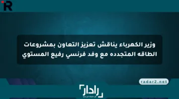 وزير الكهرباء يناقش تعزيز التعاون بمشروعات الطاقة المتجددة مع وفد فرنسي رفيع المستوى