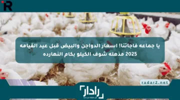 يا جماعة فاجأتنا! أسعار الدواجن والبيض قبل عيد القيامة 2025 مذهلة شوف الكيلو بكام النهاردة
