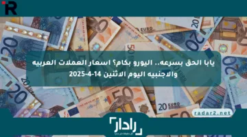 يابا الحق بسرعة.. اليورو بكام؟ أسعار العملات العربية والأجنبية اليوم الإثنين 14-4-2025