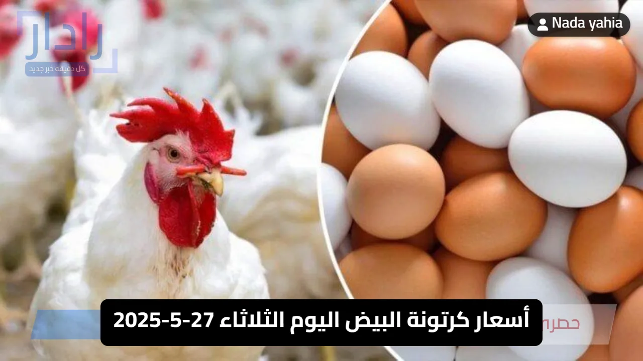 أسعار كرتونة البيض اليوم الثلاثاء 27-5-2025