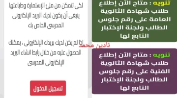 “بضغطة واحدة من بيتك” نزل أرقام جلوس الثانوية العامة 2025 الآن.. اعرف مكان اللجنة