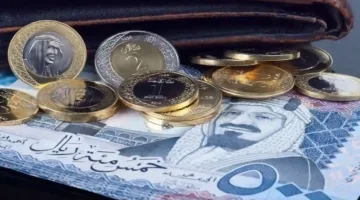 “يلامس الـ14 جنيهًا”.. سعر الريال السعودي مقابل الجنيه المصري اليوم الجمعة 2-5-2025 في البنوك والسوق السوداء