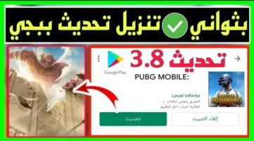 “هيخليك محترف زيادة” يا لعيب خطوات تنزيل تحديث PUBG Mobile 3.8.. وأبرز طرق شحن الشدات