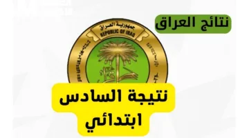 الان نتائج السادس الابتدائي 2025 دور اول برابط شغال من موقع وزارة التربية والتعليم فور ظهورها