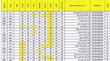 ظهور نتائج السادس الابتدائي 2025 دور اول بالعراق من موقع نتائجنا الرسمي ووزارة التربية والتعليم العراقية