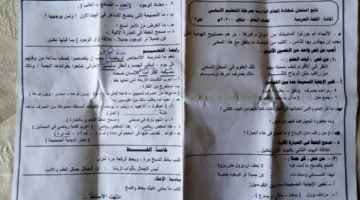 عاااجل حقيقة تسريب امتحانات الصف الثالث الاعدادية 2025 لغة عربية اليوم السبت 31 مايو 2025 كل محافظات
