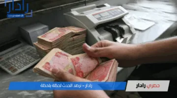 خطوات الاستعلام عن رواتب المتقاعدين إلكترونيًا عبر موقع وزارة المالية