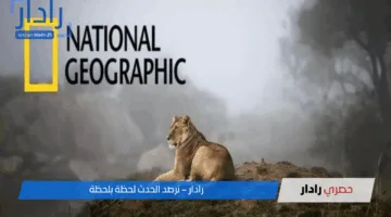 استقبال تردد قناة ناشيونال جيوغرافيك 2025 .. اضبطها واستكشف عالم المعرفة من خلال شاشة واحدة
