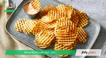 طريقة عمل بطاطس الوافل المقلية المقرمشة اللذيذة بصوص المايونيز الحار اللذيذ