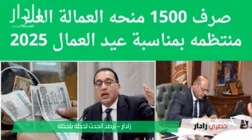 مواعيد منحة العمالة الغير منتظمة بعد الزيادة الأخيرة 2025 وخطوات الاستعلام عنها عبر manpower.gov.eg