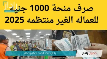 رابط الاستعلام عن منحة العمالة الغير منتظمة 2025 بعد صرف منحة عيد العمال